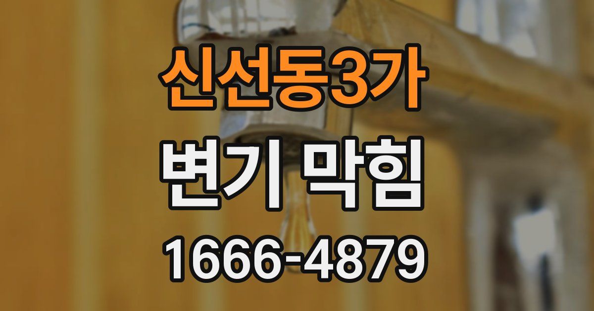 신선동3가 변기 막힘
