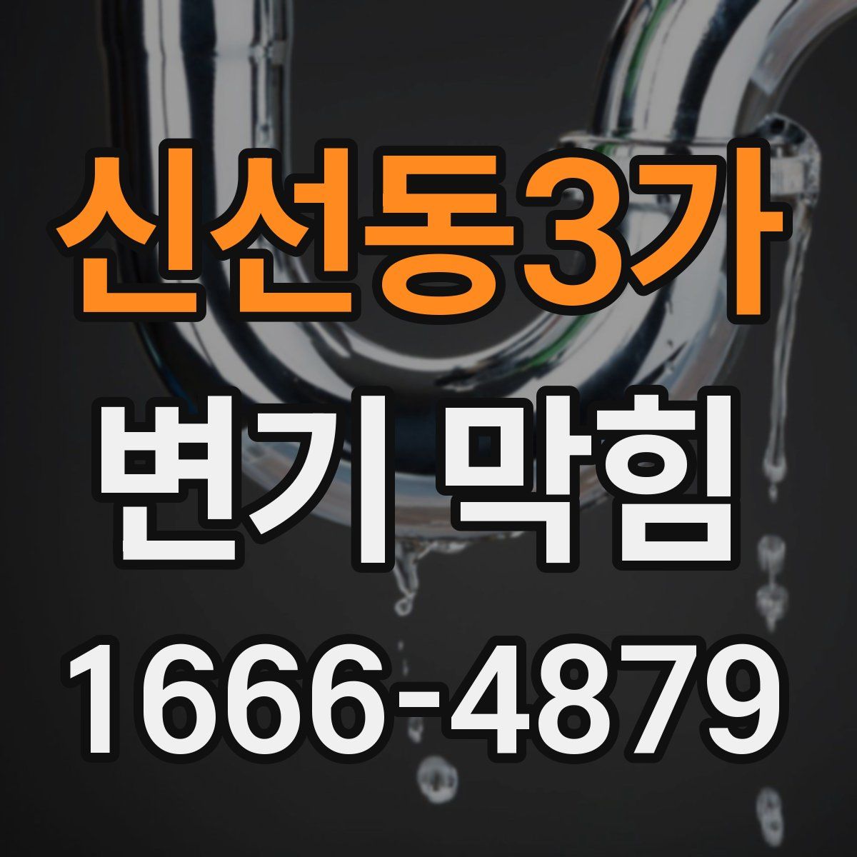 신선동3가 변기 막힘