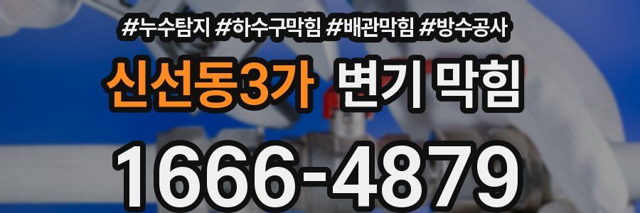 신선동3가 변기 막힘