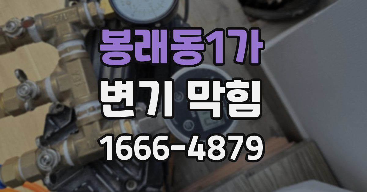 봉래동1가 변기 막힘