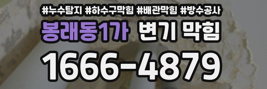 봉래동1가 변기 막힘