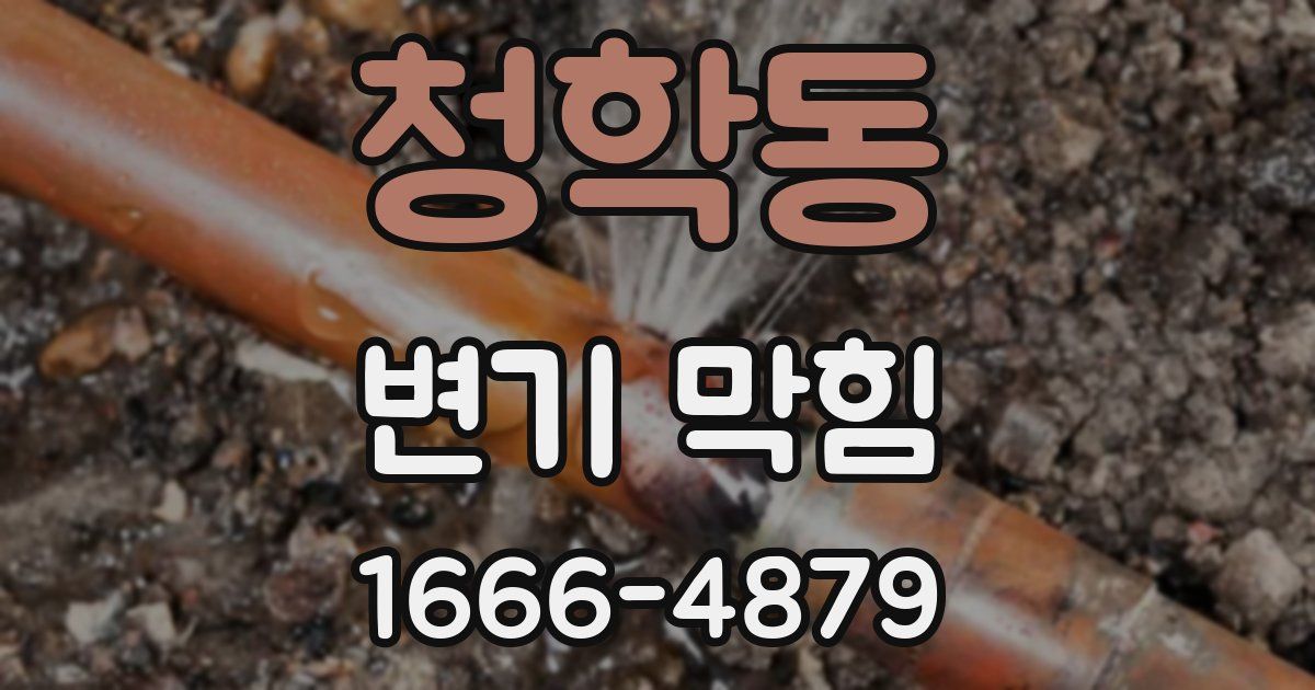 청학동 변기 막힘
