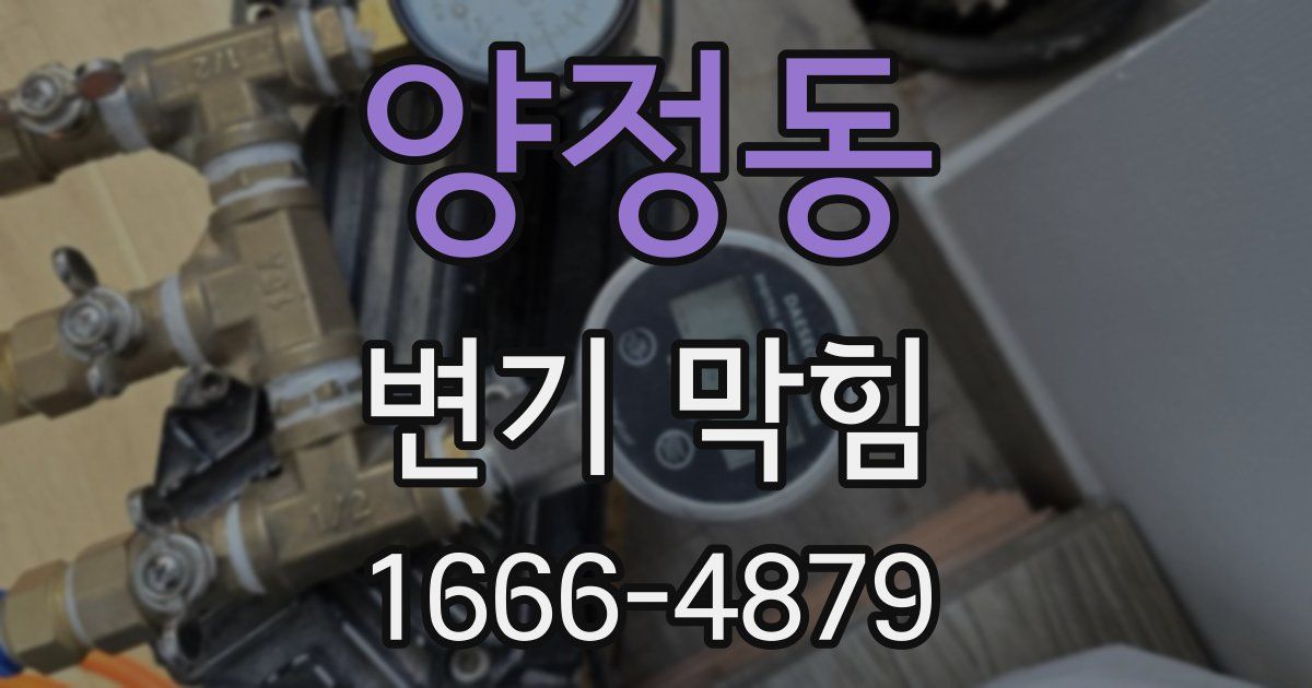 양정동 변기 막힘