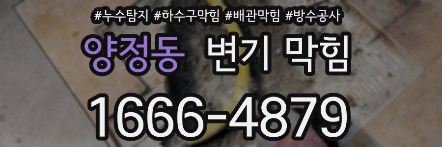 양정동 변기 막힘