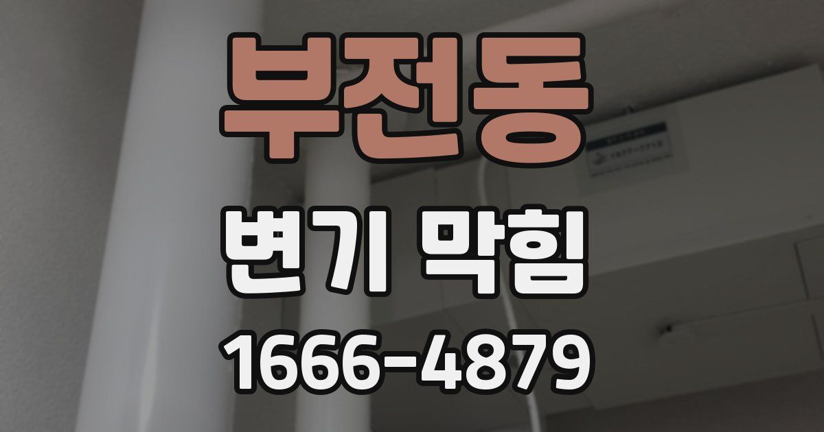 부전동 변기 막힘