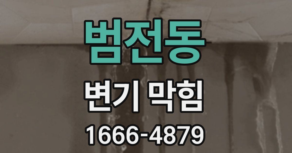 범전동 변기 막힘
