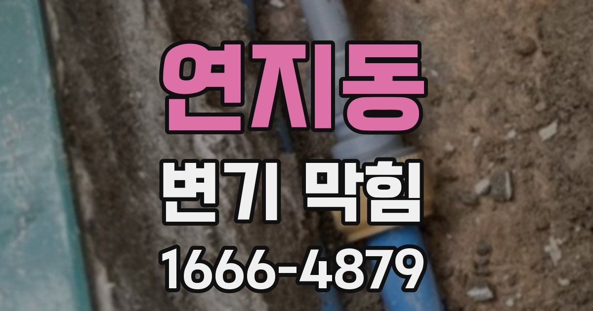 연지동 변기 막힘