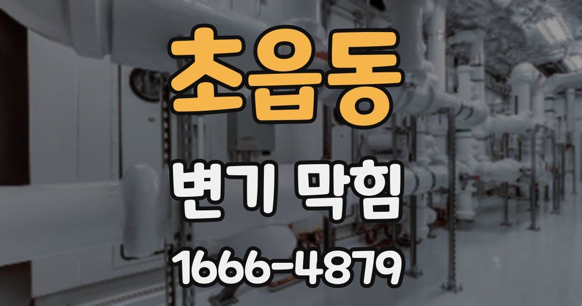 초읍동 변기 막힘