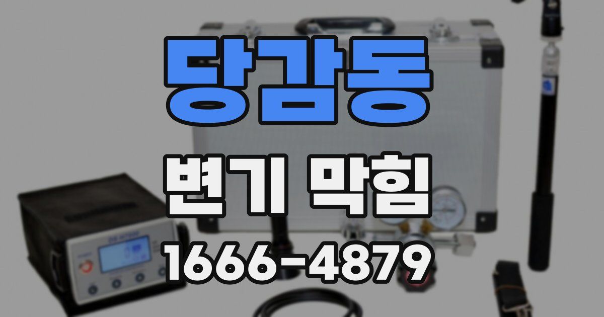 당감동 변기 막힘