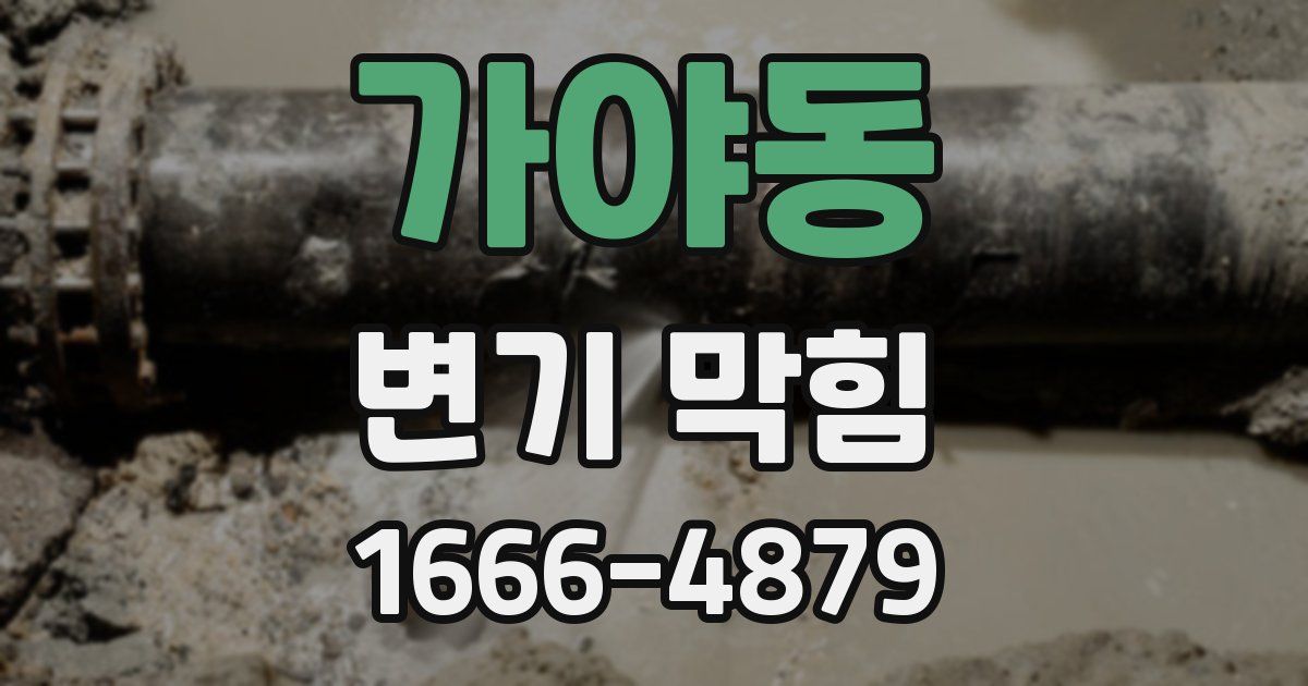 가야동 변기 막힘