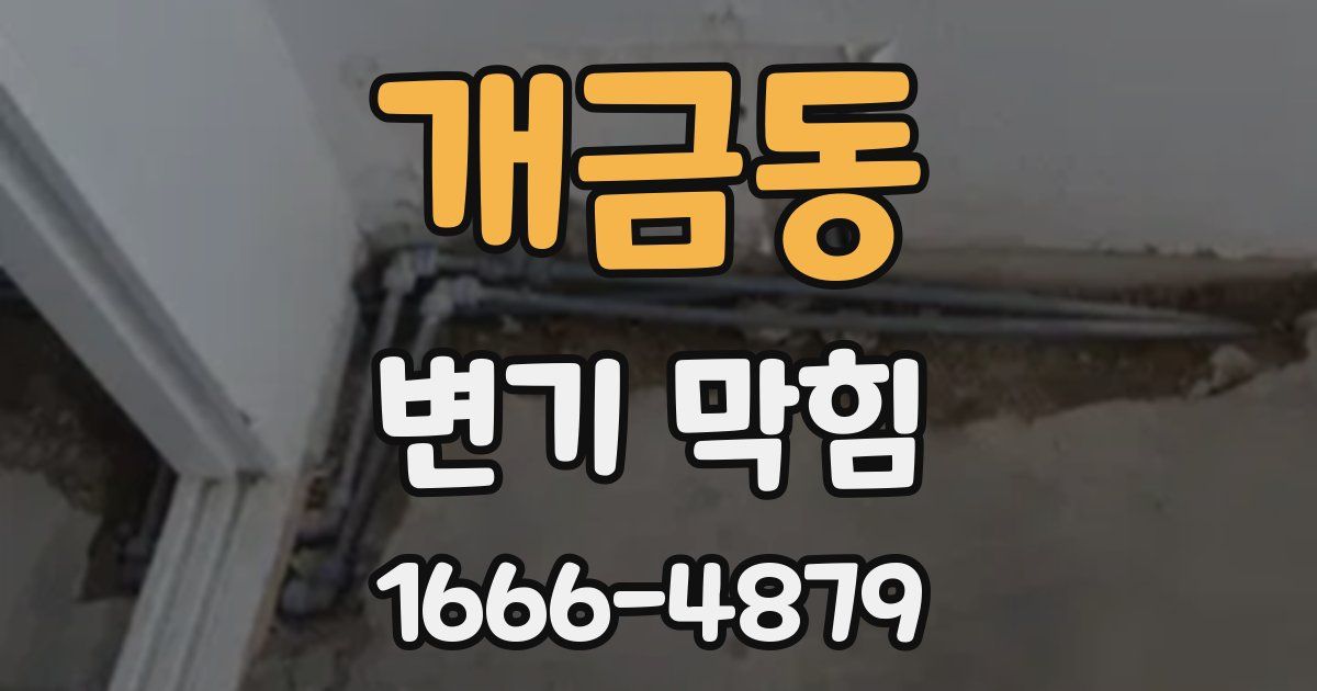 개금동 변기 막힘