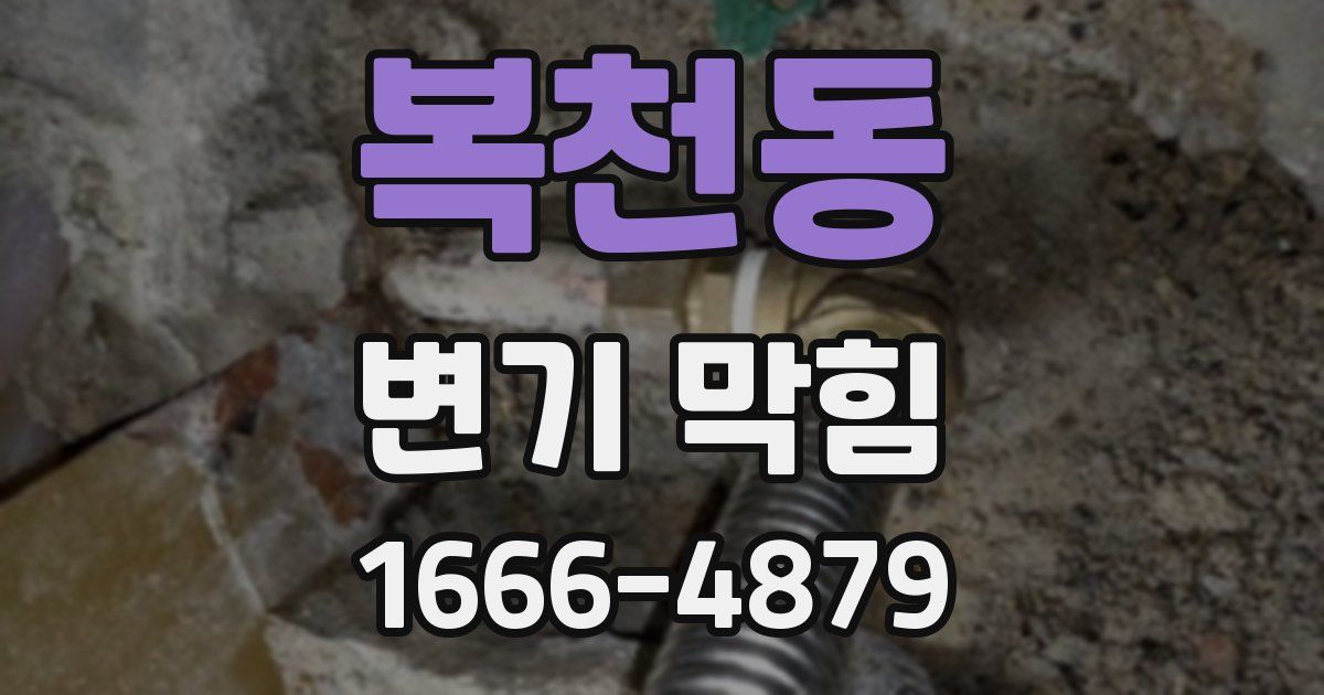 복천동 변기 막힘