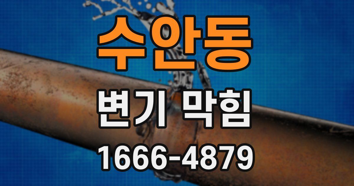 수안동 변기 막힘