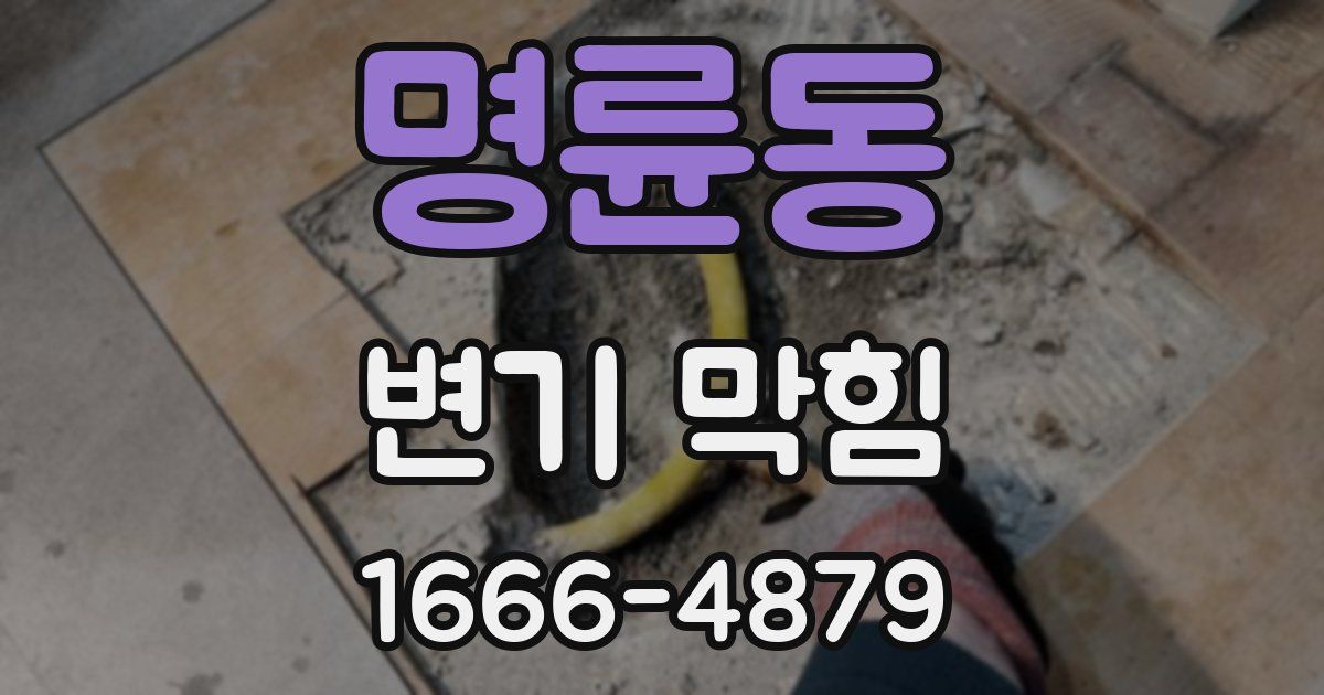 명륜동 변기 막힘