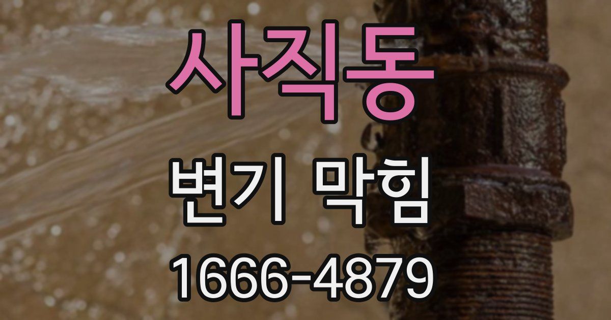 사직동 변기 막힘