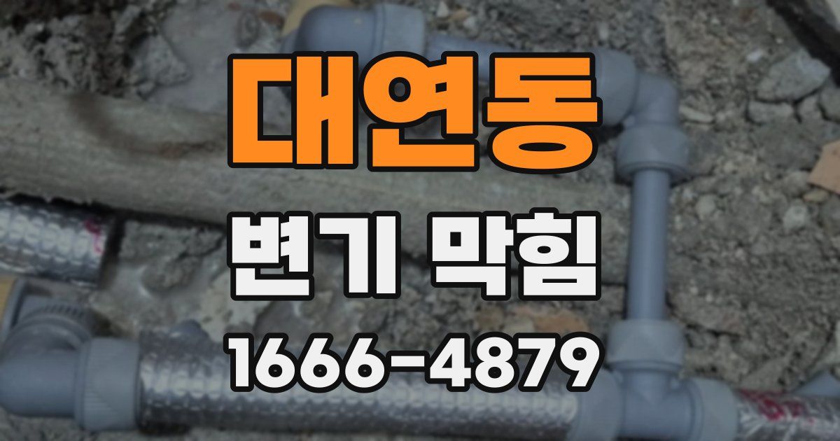 대연동 변기 막힘