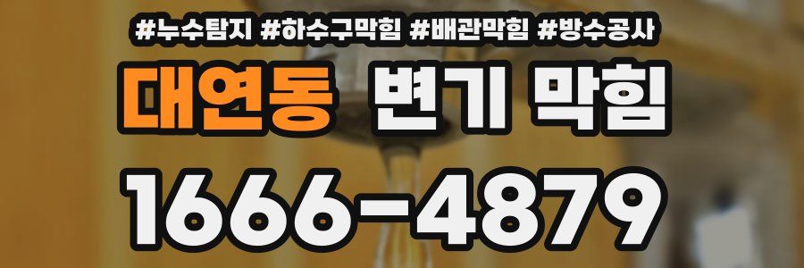 대연동 변기 막힘