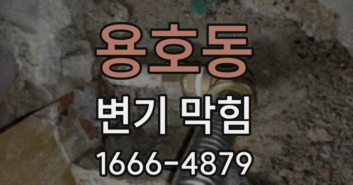 용호동 변기 막힘