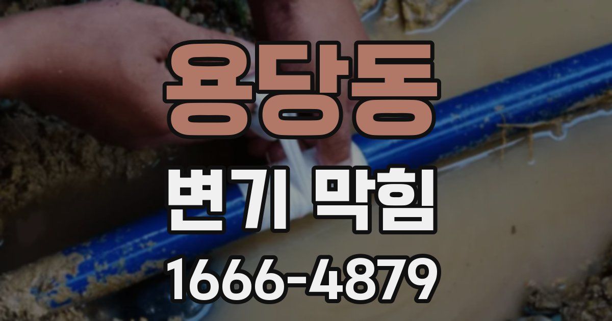 용당동 변기 막힘
