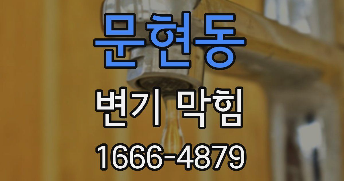 문현동 변기 막힘