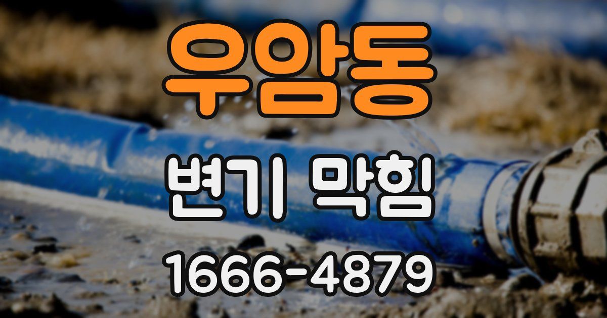 우암동 변기 막힘