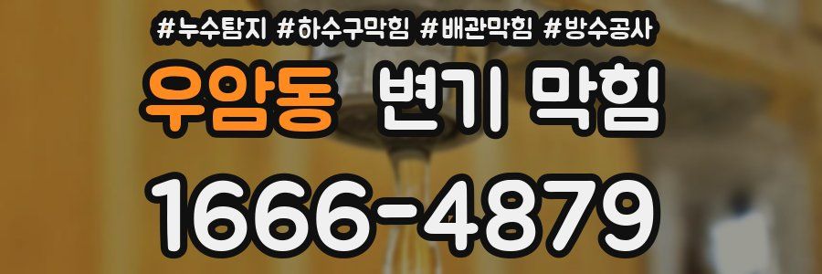 우암동 변기 막힘