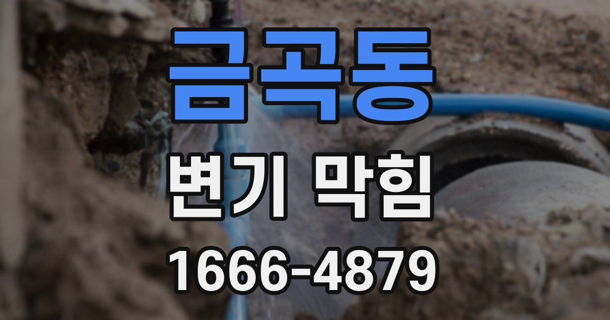 금곡동 변기 막힘