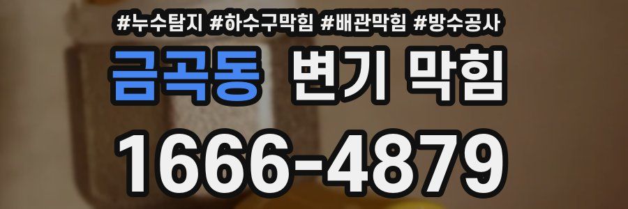 금곡동 변기 막힘