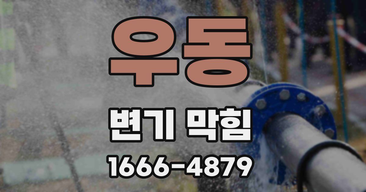 우동 변기 막힘
