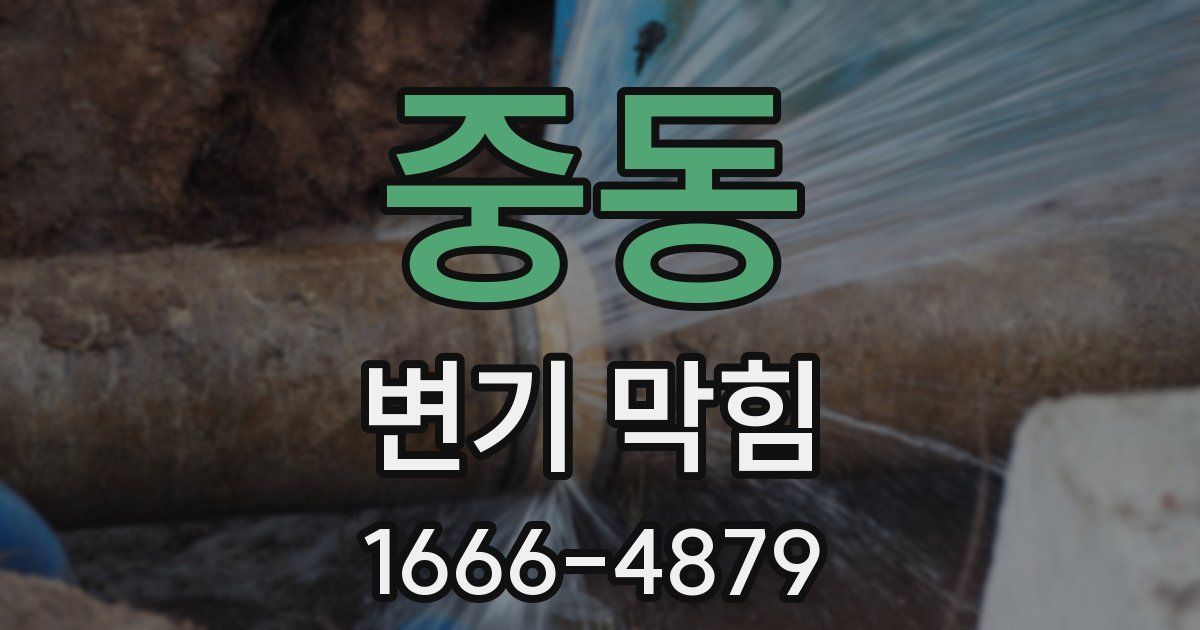 중동 변기 막힘
