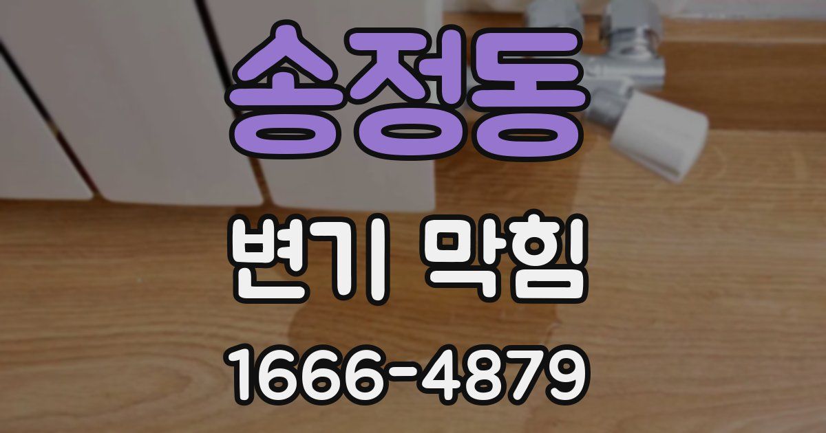 송정동 변기 막힘