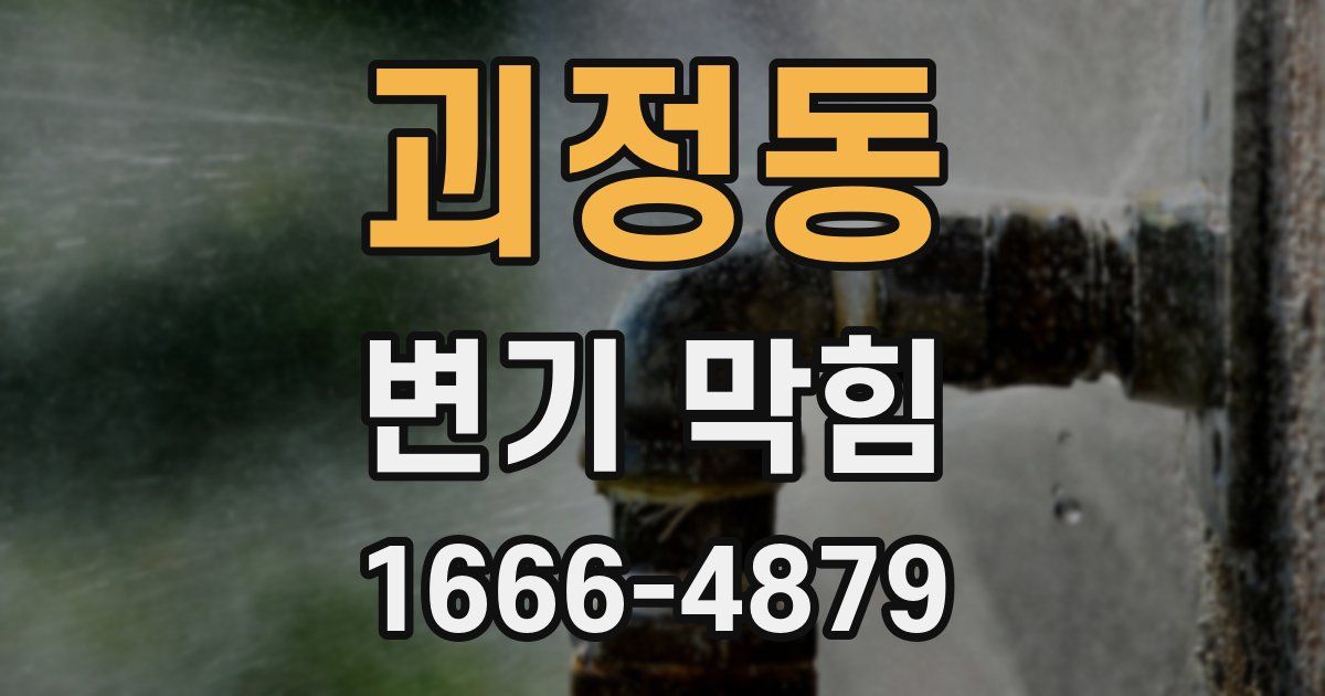 괴정동 변기 막힘