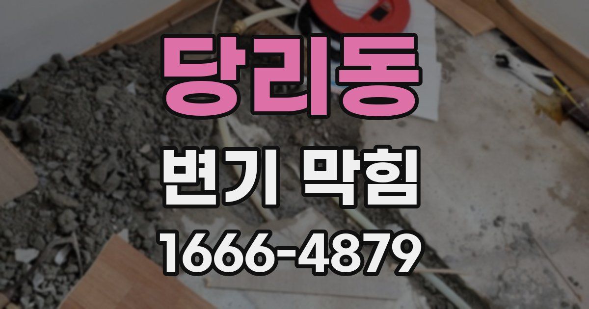 당리동 변기 막힘