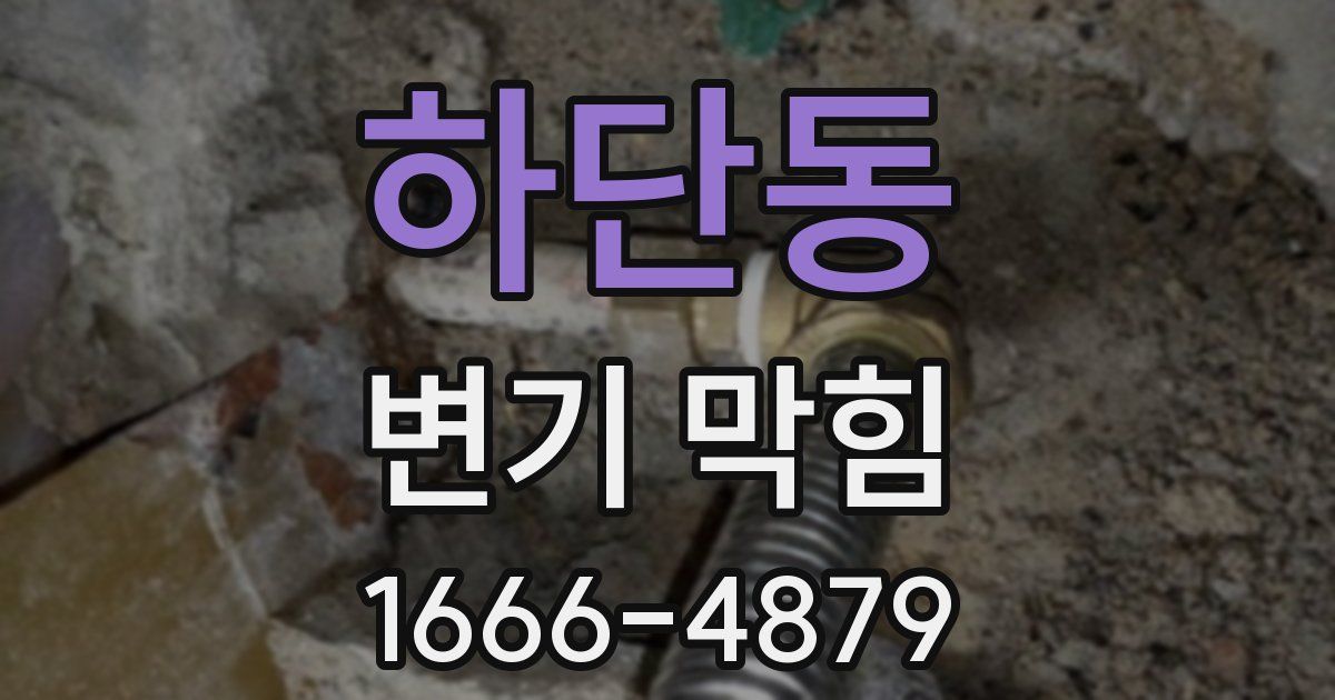 하단동 변기 막힘