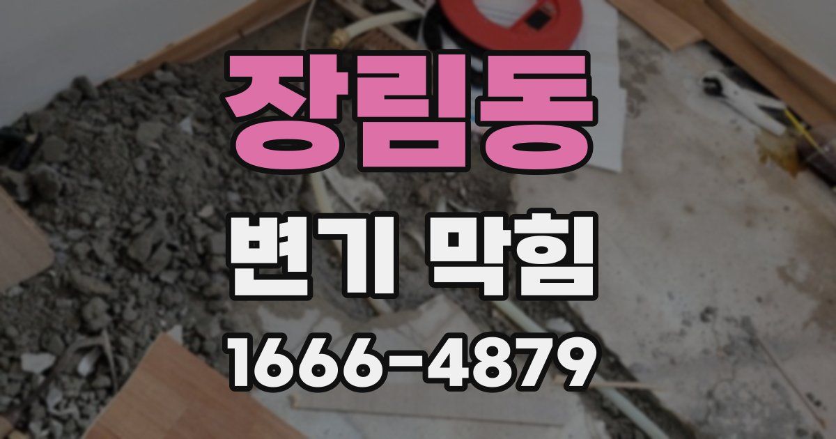 장림동 변기 막힘