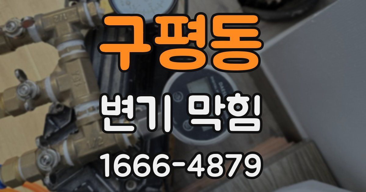 구평동 변기 막힘