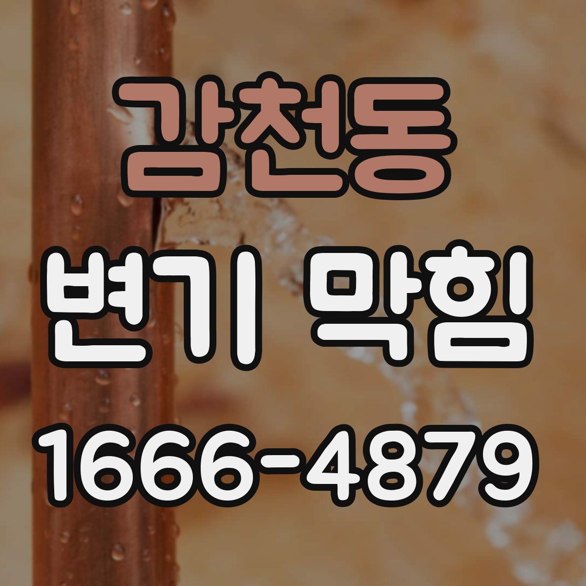 감천동 변기 막힘