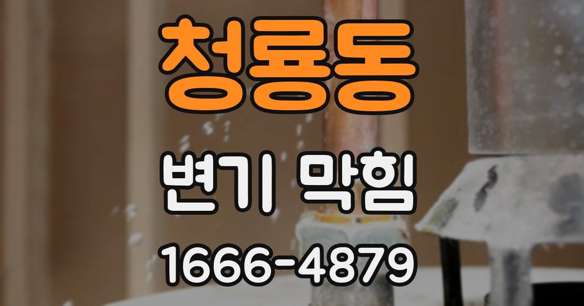 청룡동 변기 막힘