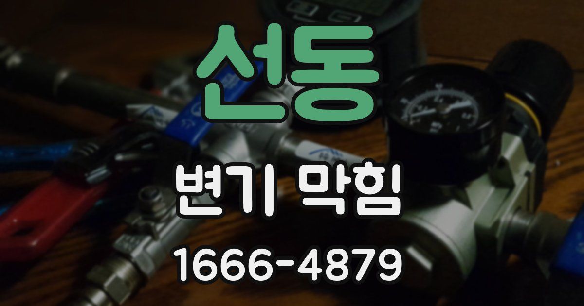 선동 변기 막힘