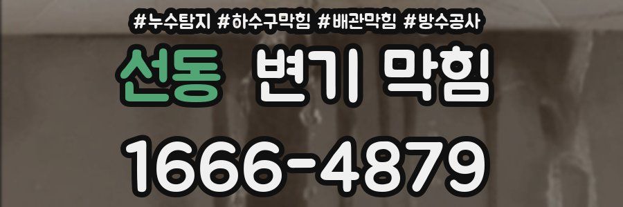 선동 변기 막힘