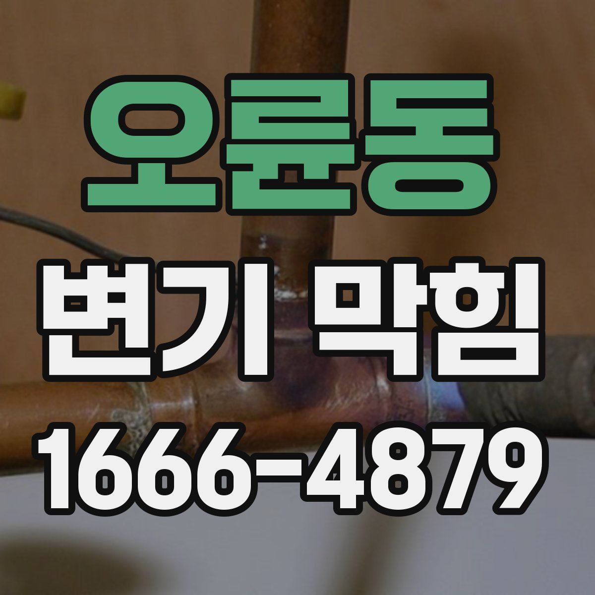 오륜동 변기 막힘