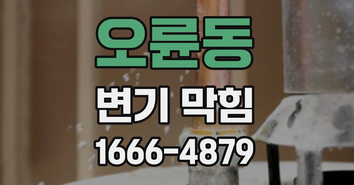오륜동 변기 막힘