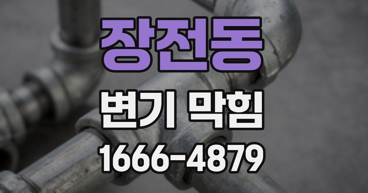 장전동 변기 막힘