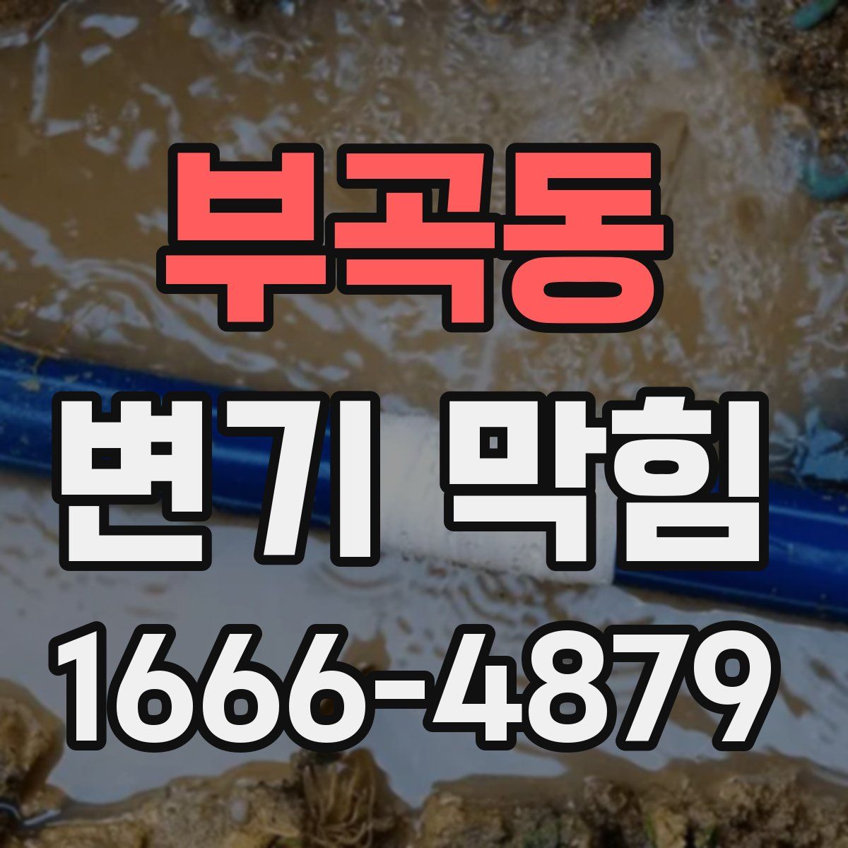 부곡동 변기 막힘