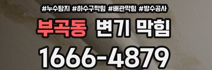 부곡동 변기 막힘