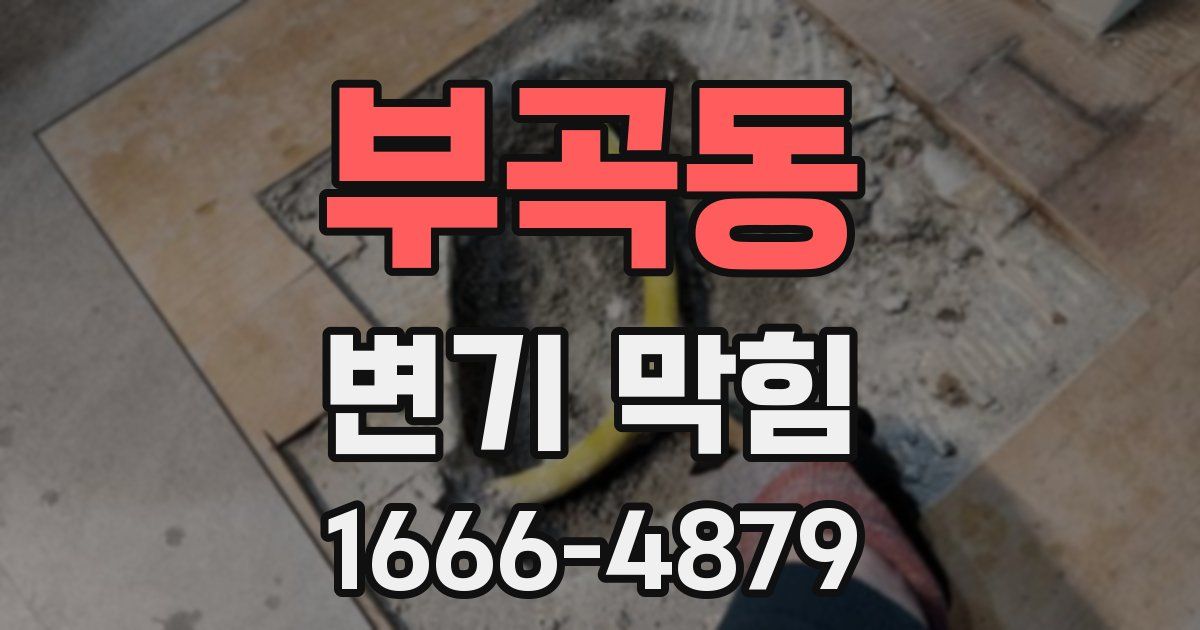 부곡동 변기 막힘