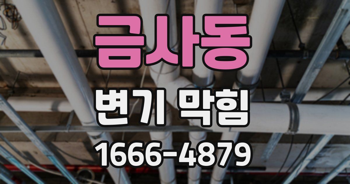 금사동 변기 막힘