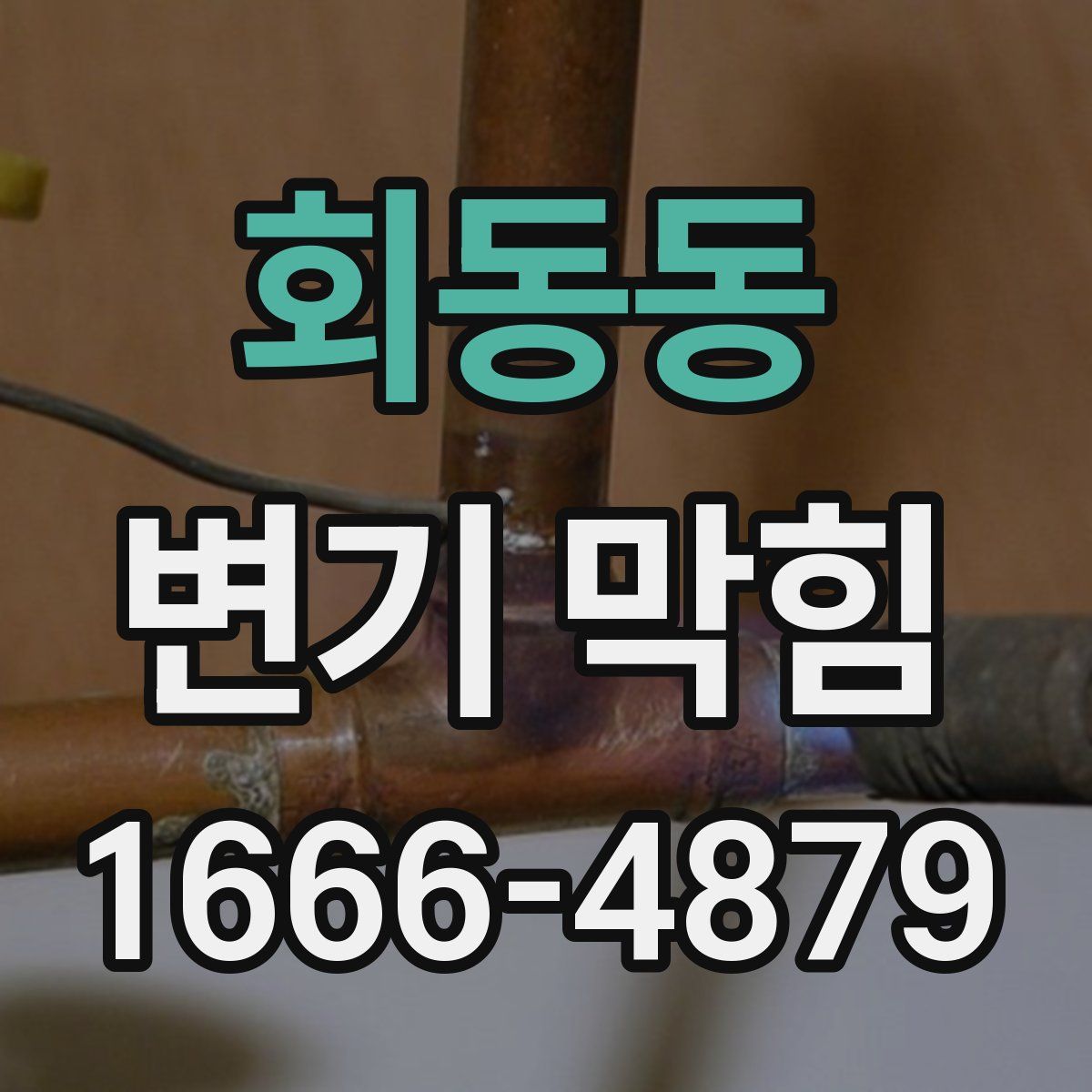 회동동 변기 막힘