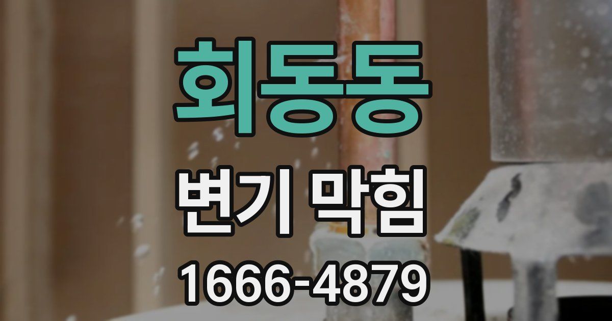 회동동 변기 막힘
