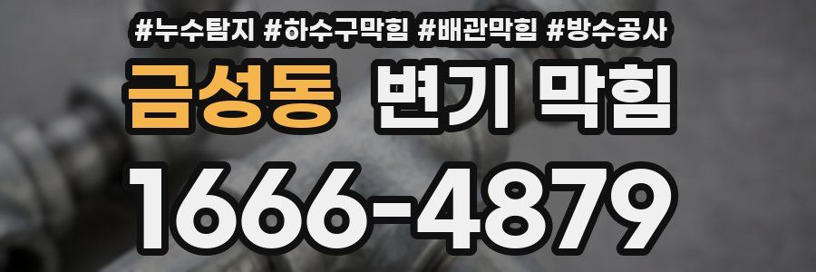 금성동 변기 막힘